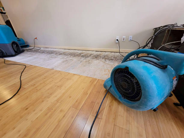 Professional Burst Pipe Water Damage technician working in Gretna, LA